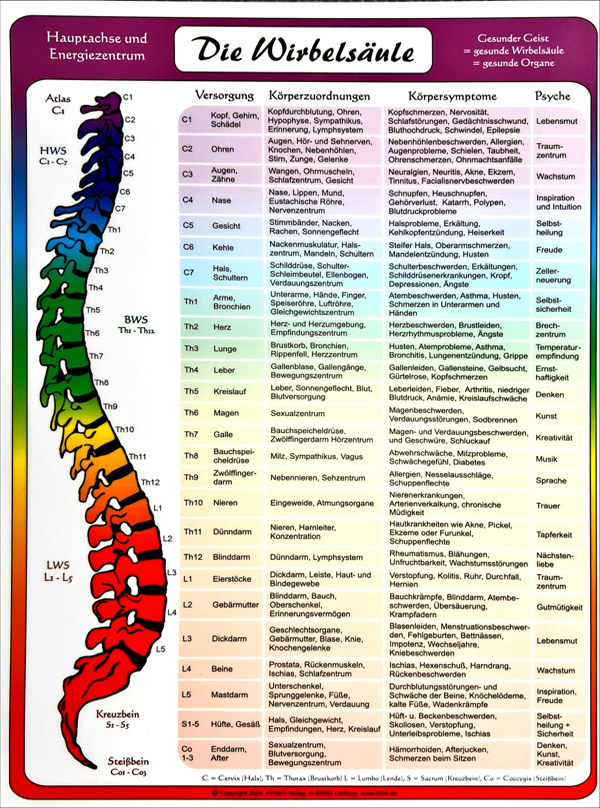 Info-Karte: Die Wirbelsäule – Regenbogen-Zentrum für Geistiges Heilen